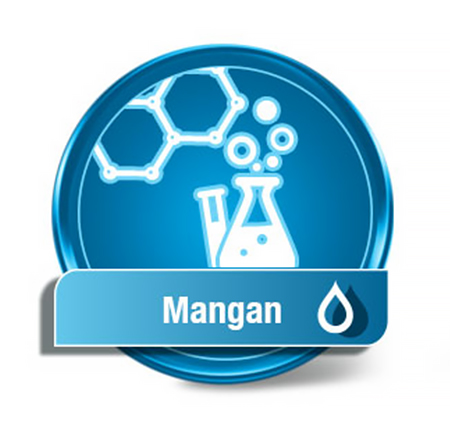 Mangan (Einzelparameter)