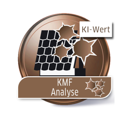 KMF-Analyse