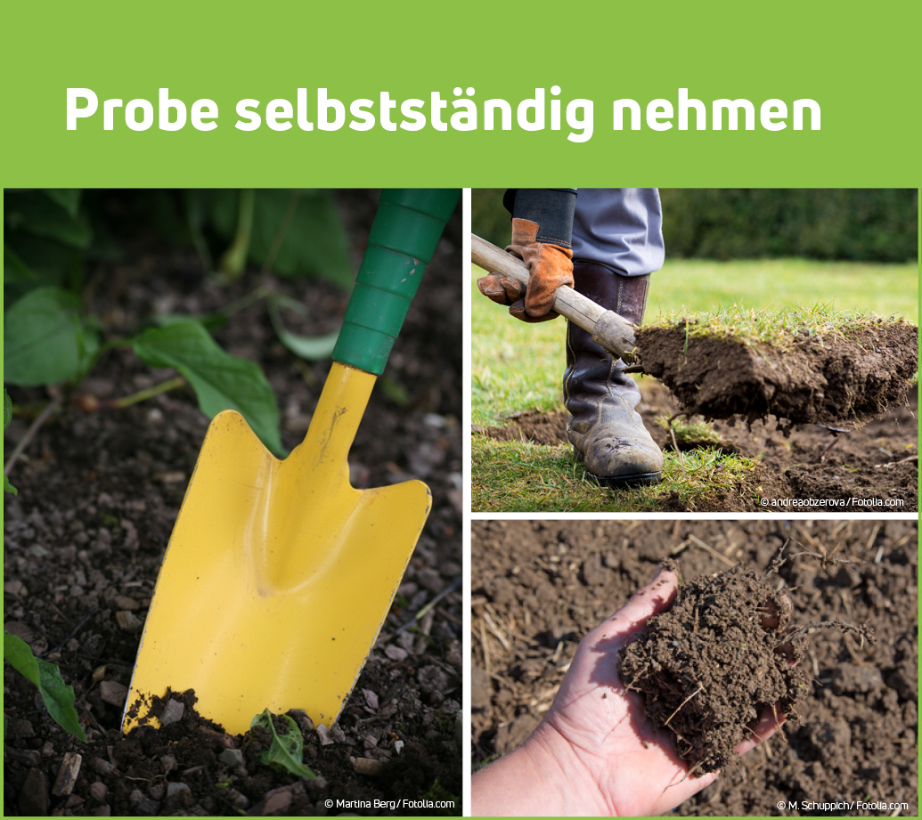 bodenprobe