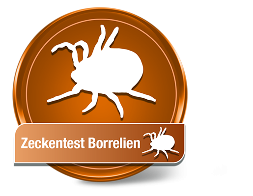 Zeckentest Borrelien