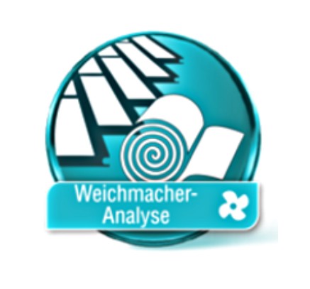 Weichmacher Analyse