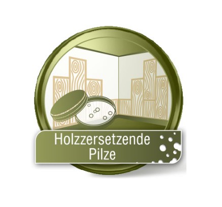 Analyse Holzzersetzende Pilze