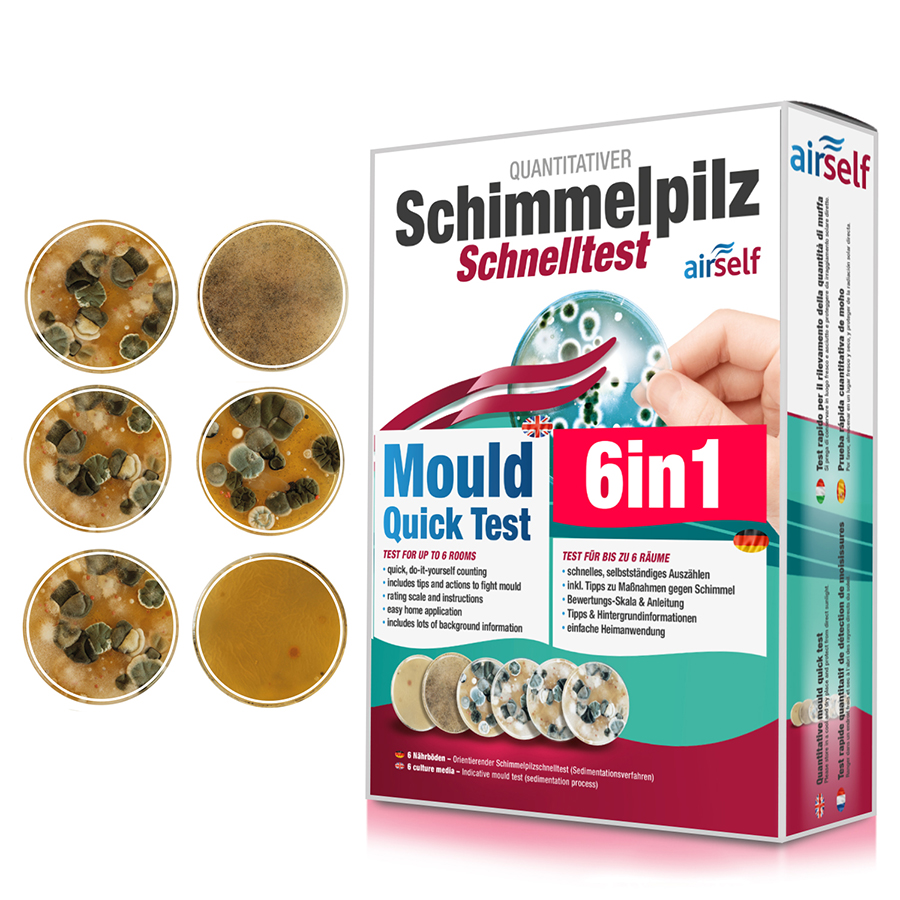 Airself Schimmeltest Maxi-Set | 12 Nährböden | Für Innenräume & Wohnungen
